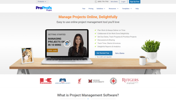 Team Task Management Software