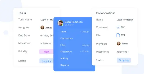One who shall use the Project Management Software