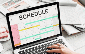 What is Project Schedule